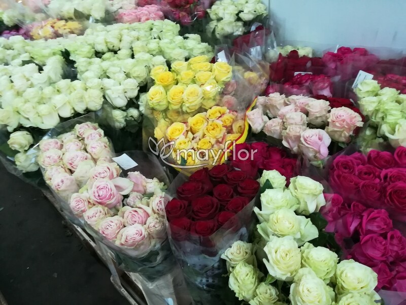 Где Купить Цветы Оптом В Ростове
